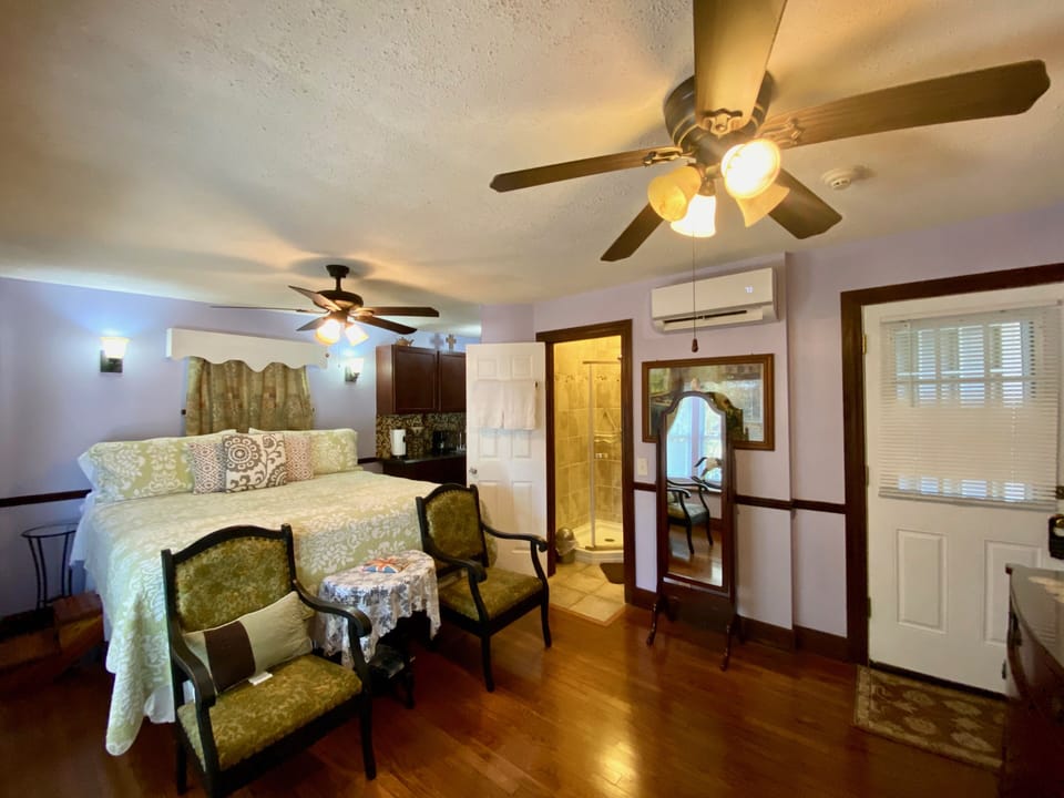 The Windsor | Iron/ironing board, free WiFi, bed sheets, alarm clocks