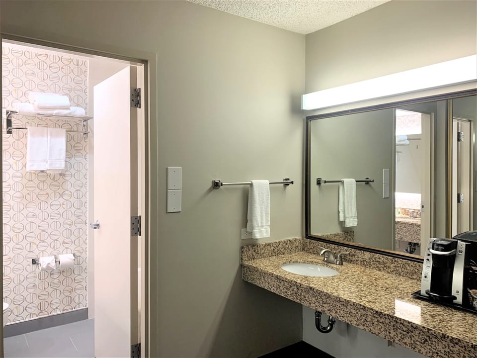 Eco-friendly toiletries, hair dryer, towels