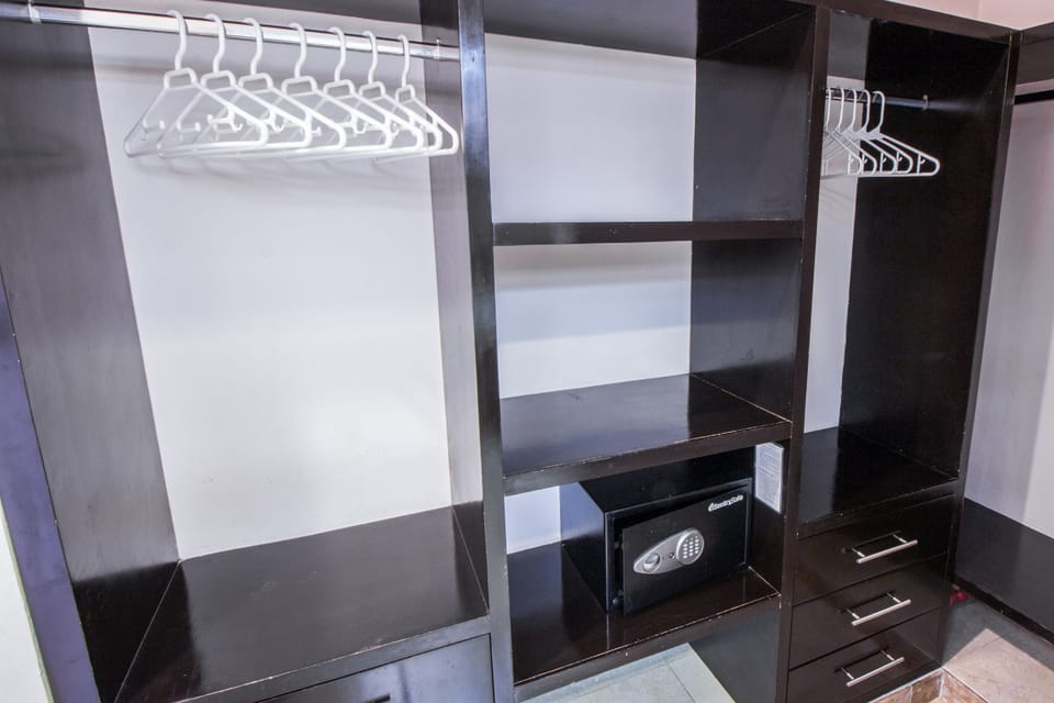 Deluxe Apartment | Room amenity