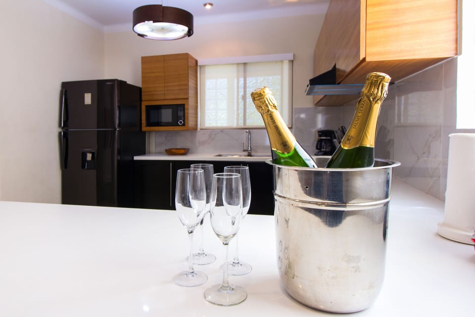 Deluxe Apartment | Private kitchen | Full-size fridge, microwave, oven, stovetop