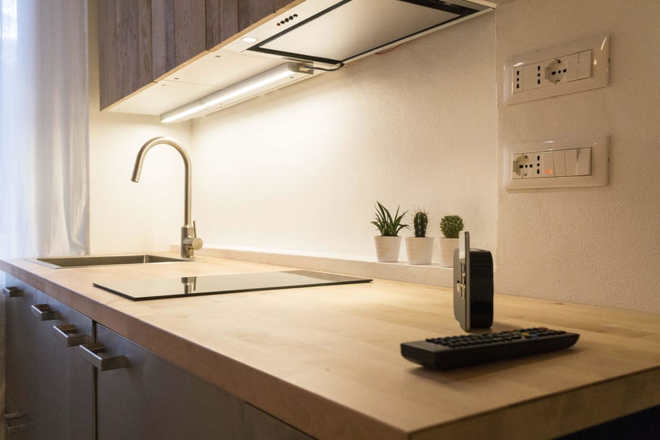 Studio | Private kitchen | Full-size fridge, microwave, stovetop, dishwasher