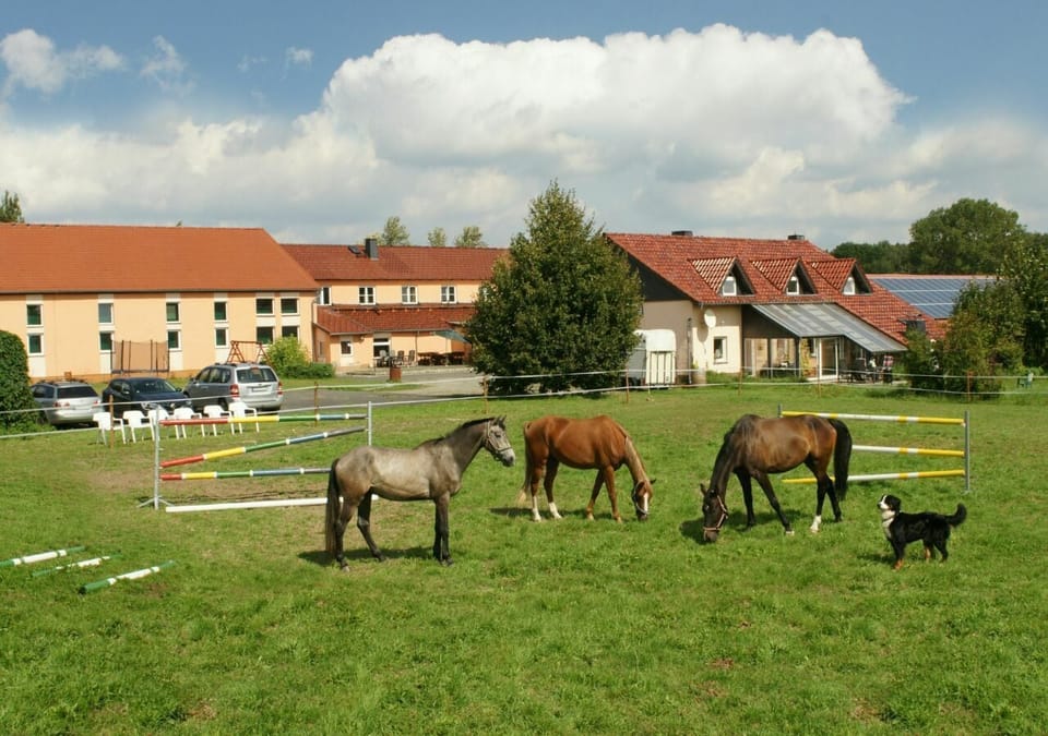 Horseback riding