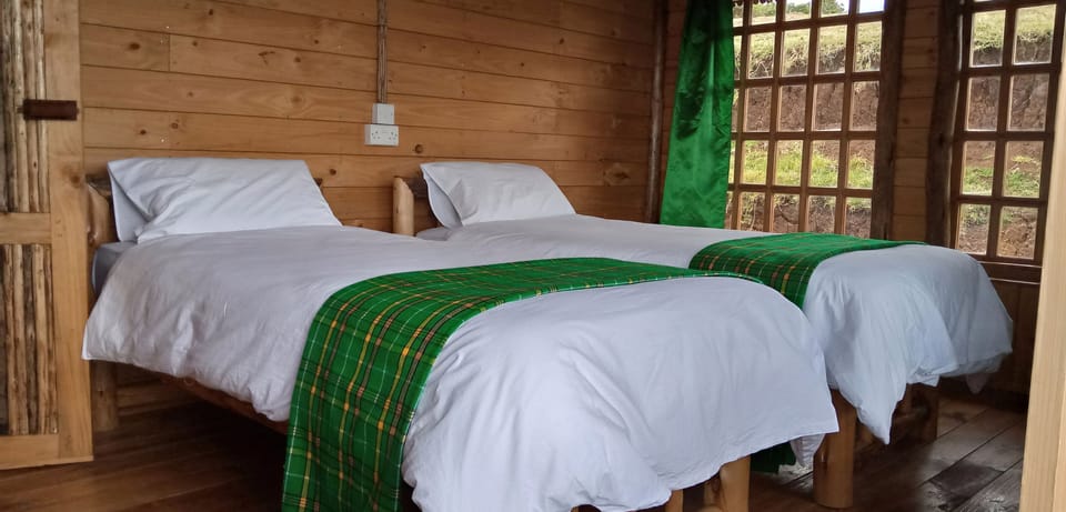 Castle Forest Lodge Lodge in Kenya