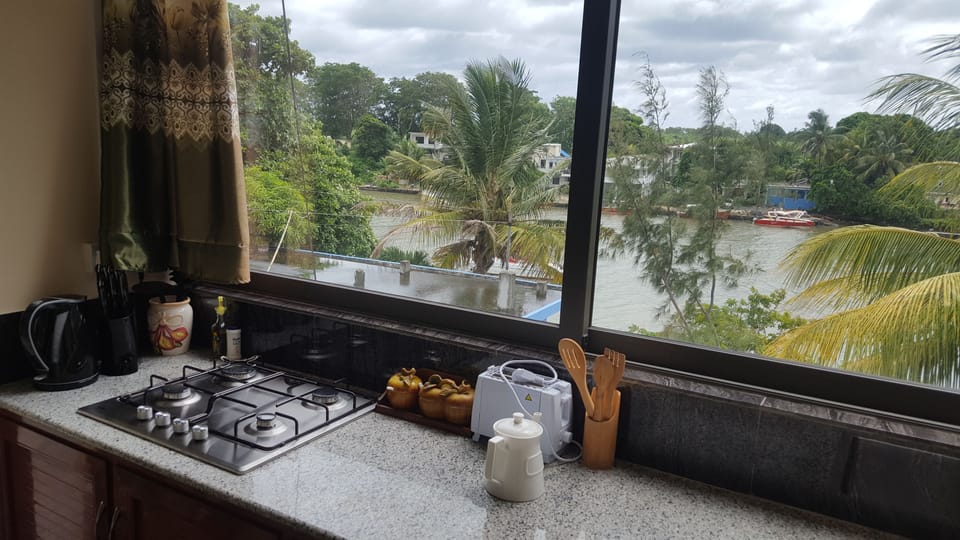Studio, 1 Queen Bed with Sofa bed, River View | Private kitchen | Full-size fridge, microwave, oven, stovetop