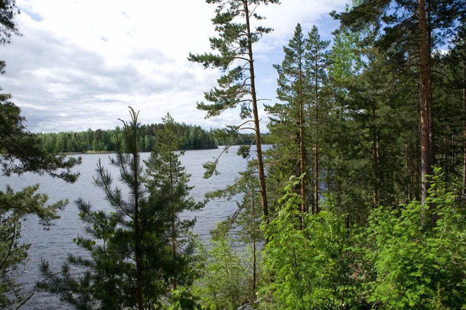 Salkolahti Tivoli Cabin in Finland