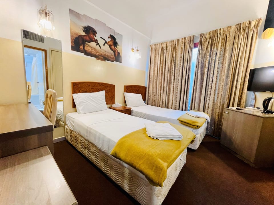 Standard Twin Room | Television