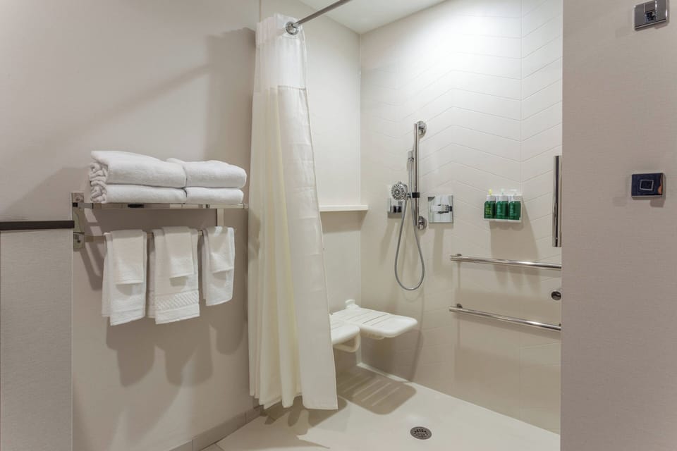 Room, 1 King Bed, Hearing Accessible (Roll-in Shower) | Bathroom | Free toiletries, hair dryer, towels