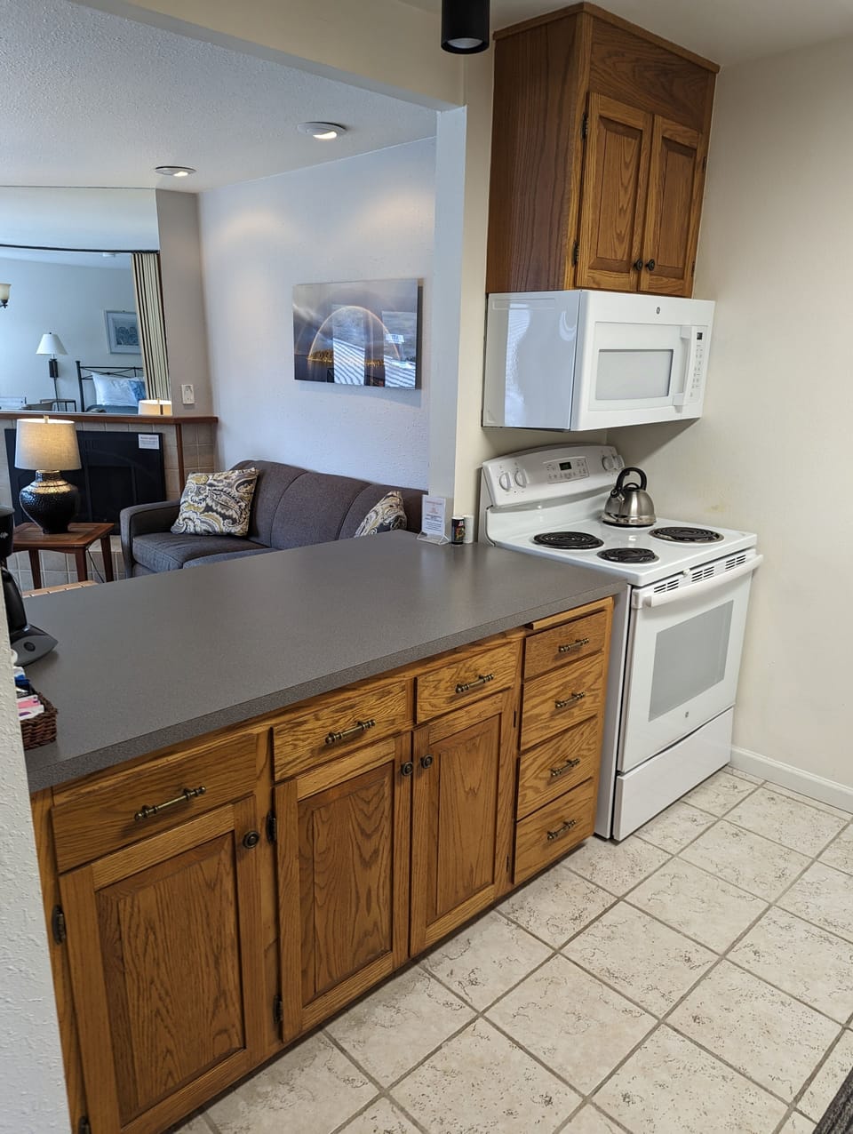 Side View Condo | Private kitchen | Full-size fridge, microwave, oven, stovetop