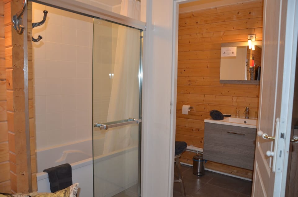 Appart Studio, 1 double bed | Bathroom | Hair dryer, towels