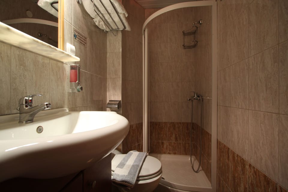 Triple Room | Bathroom | Shower, hair dryer, slippers, towels