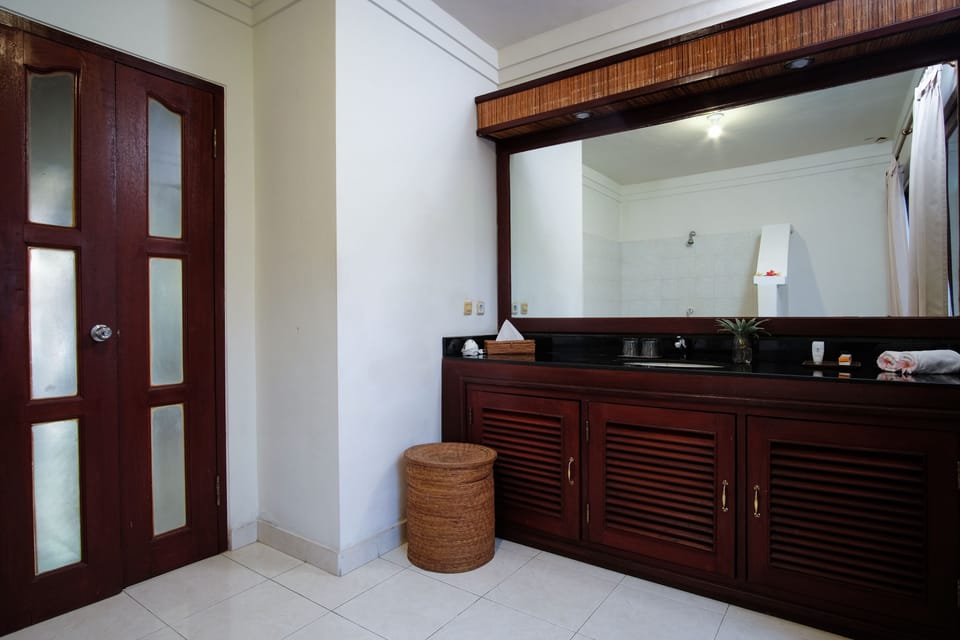 Shower, free toiletries, bidet, towels