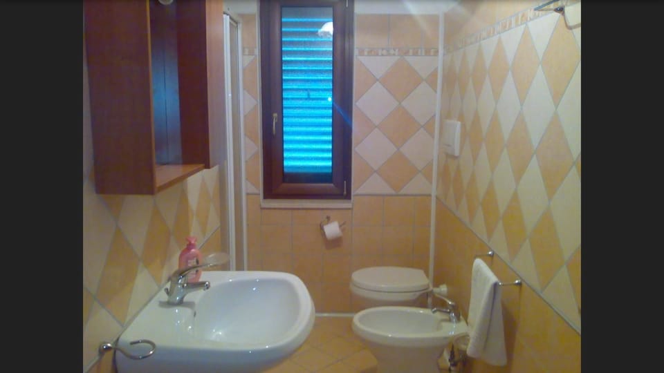 Shower, free toiletries, hair dryer, bidet