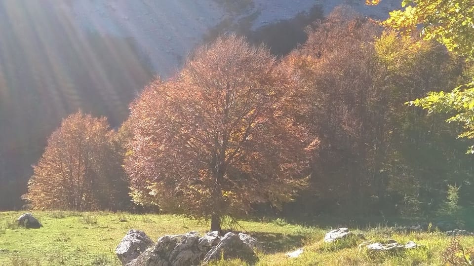 Hiking