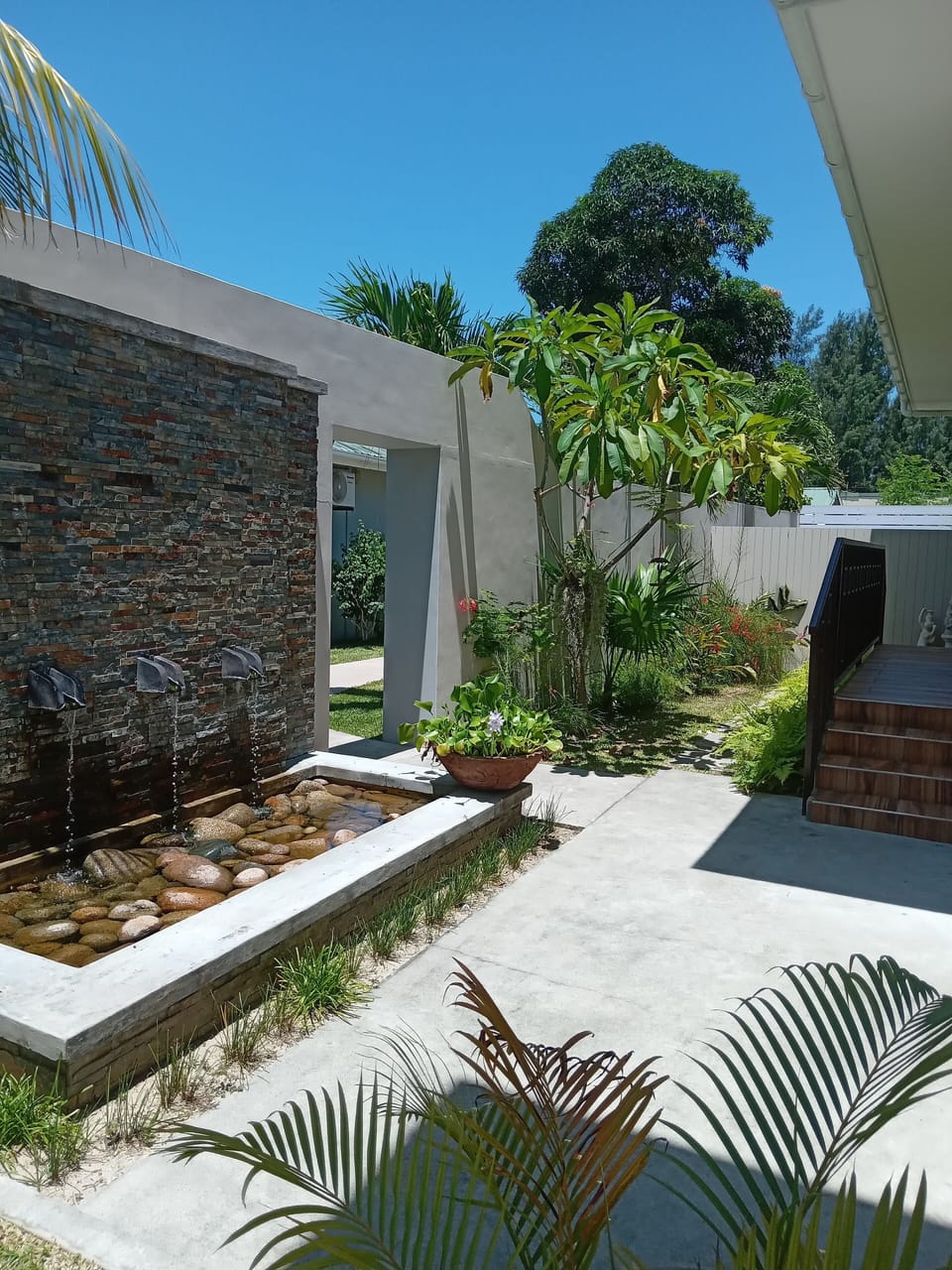 Garden view