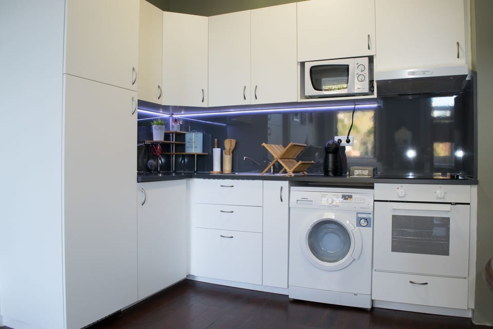 Family Apartment, 1 Bedroom, City View | Private kitchen | Fridge, microwave, oven, stovetop