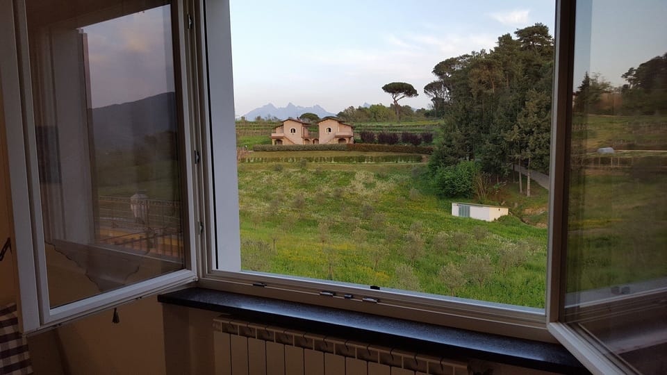 View from room