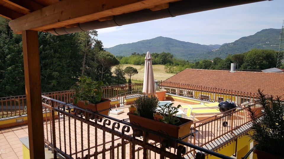 Apartment, 1 Bedroom, Terrace, Garden View | Terrace/patio