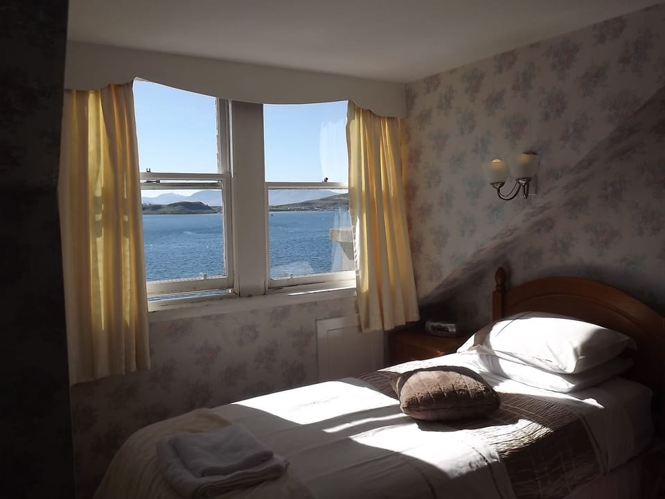 Minibar, desk, iron/ironing board, WiFi