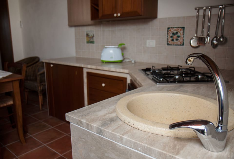 Full-size fridge, oven, stovetop, electric kettle