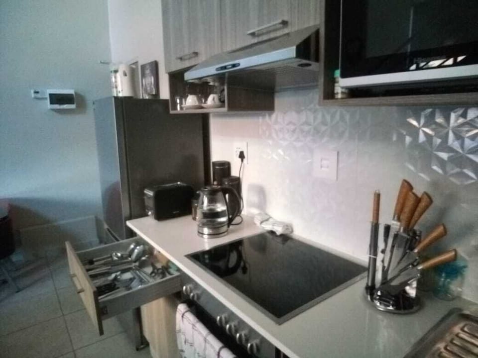 Family Apartment, 2 Bedrooms | Private kitchen | Fridge, microwave, oven, stovetop