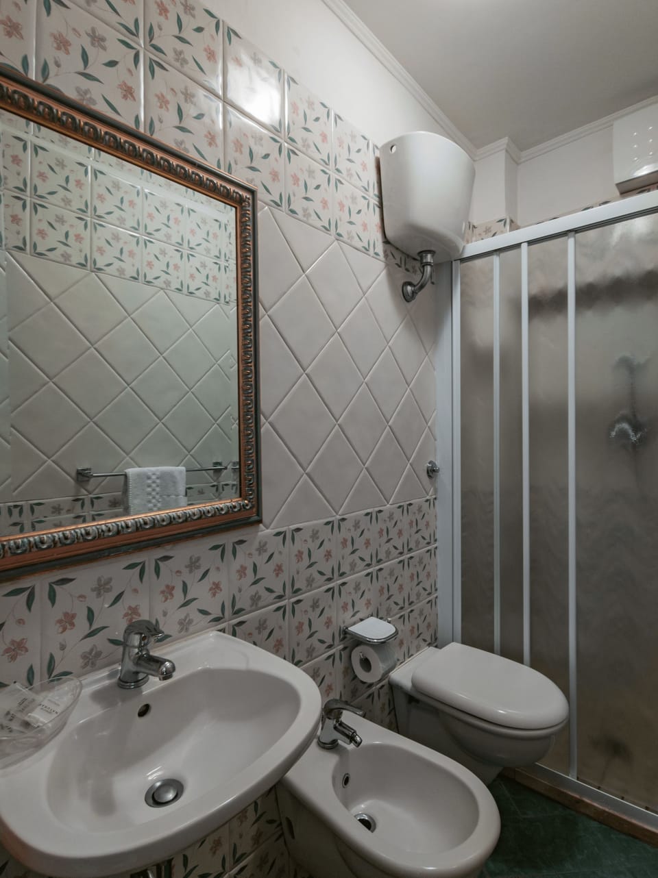 Shower, hair dryer, bidet, soap