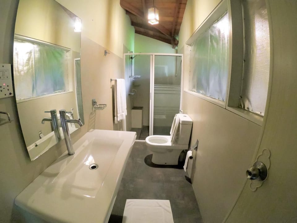 Shower, towels