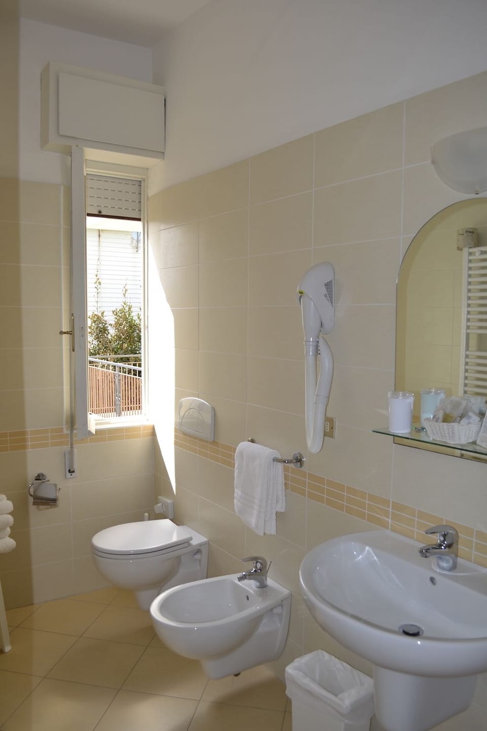 Hair dryer, bidet, towels