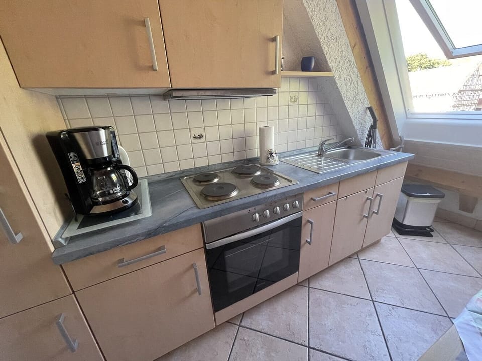Apartment, 2 Twin Beds | Private kitchen | Fridge, oven, stovetop, dishwasher