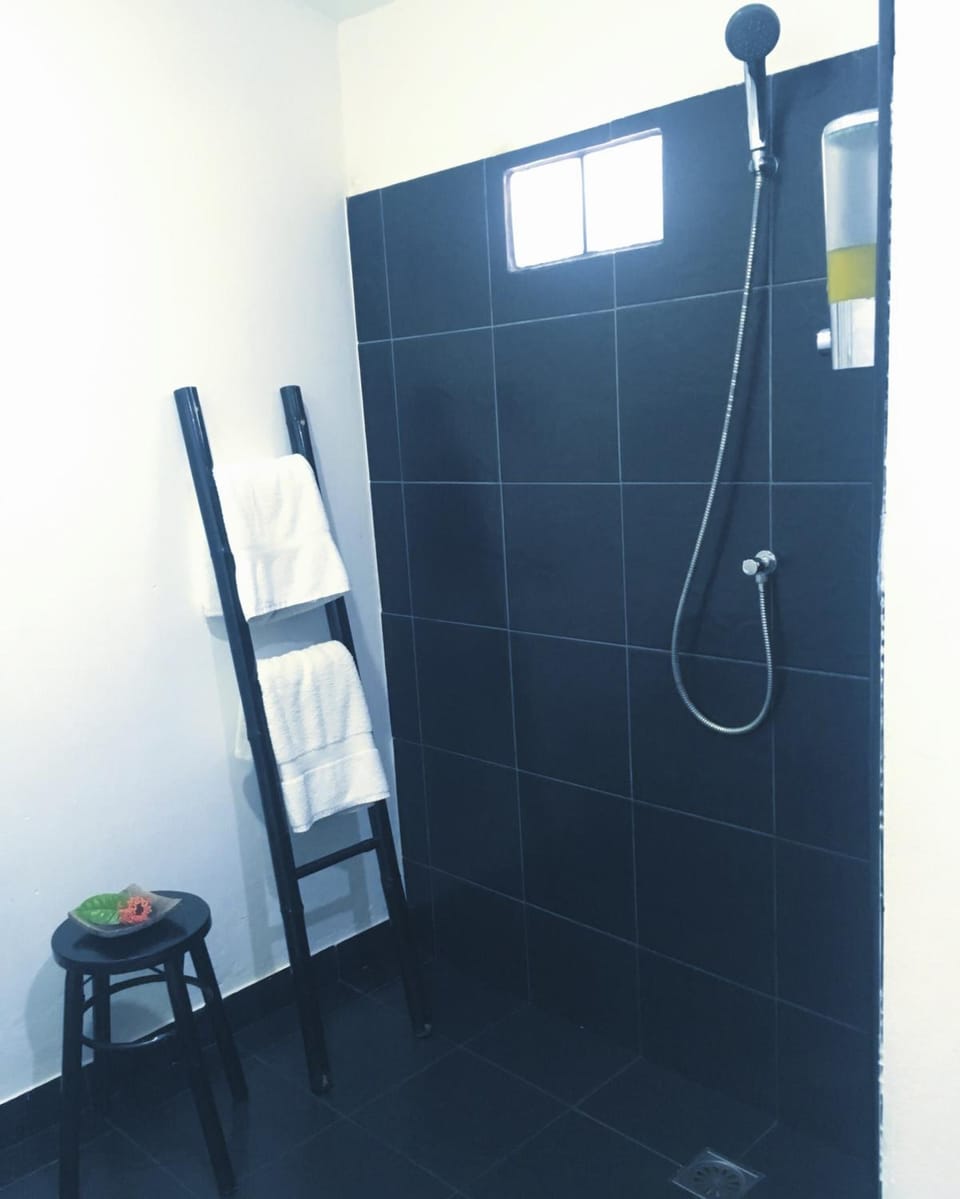 Shower, free toiletries, towels