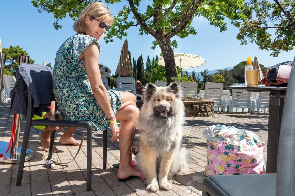 Pet-friendly