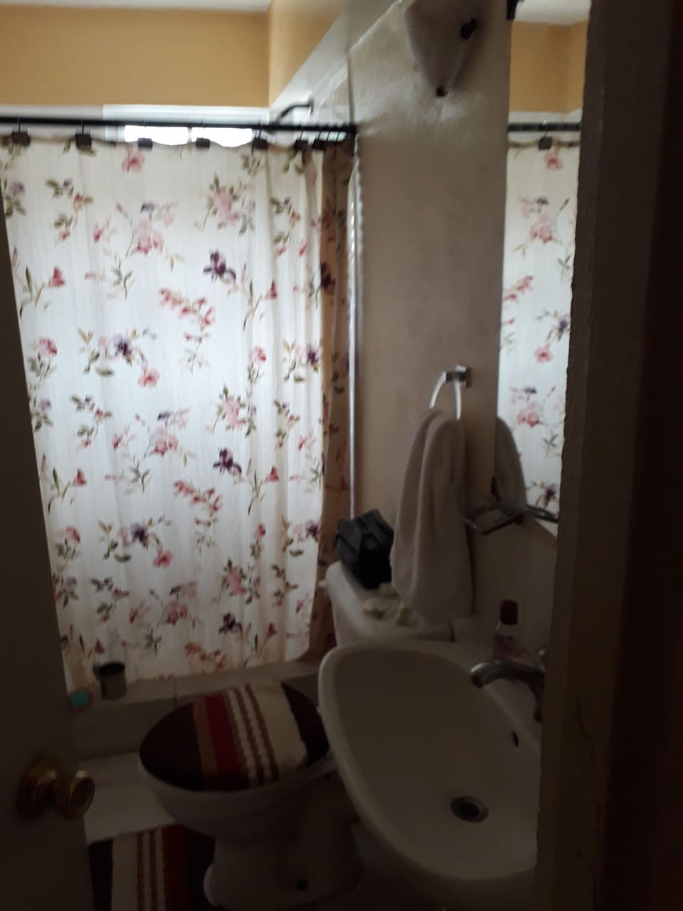 Economy Apartment, 1 Double Bed | Bathroom | Shower, free toiletries, hair dryer, soap