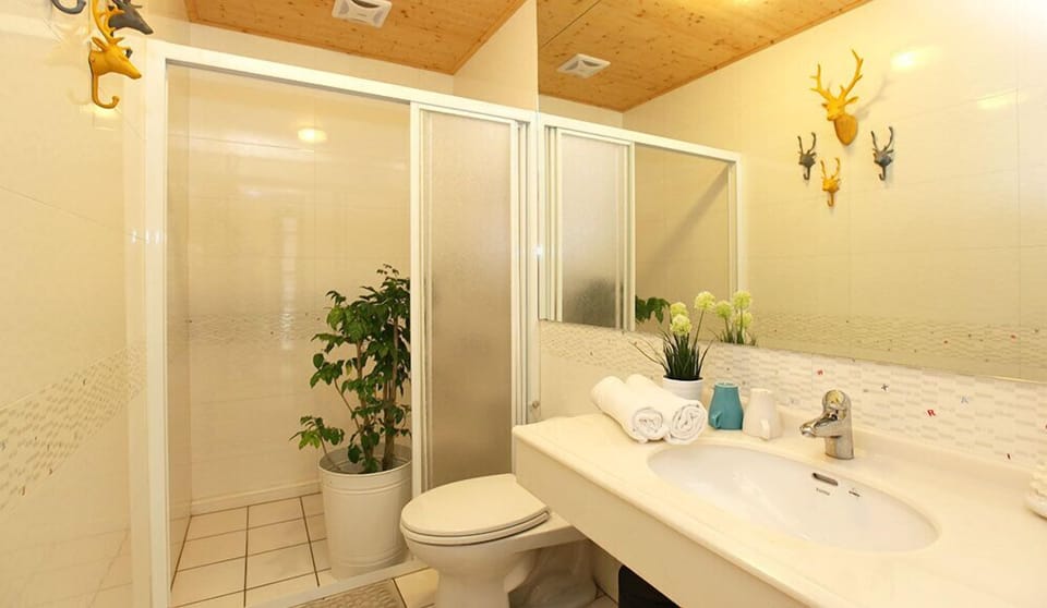 Shower, free toiletries, hair dryer, slippers