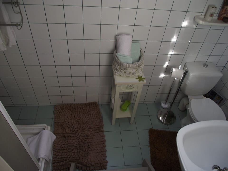 Traditional Double Room, 1 Double Bed | Bathroom | Shower, eco-friendly toiletries, hair dryer