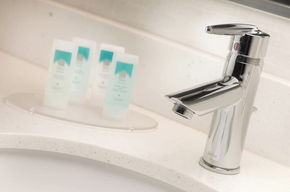 Combined shower/tub, free toiletries, hair dryer, towels