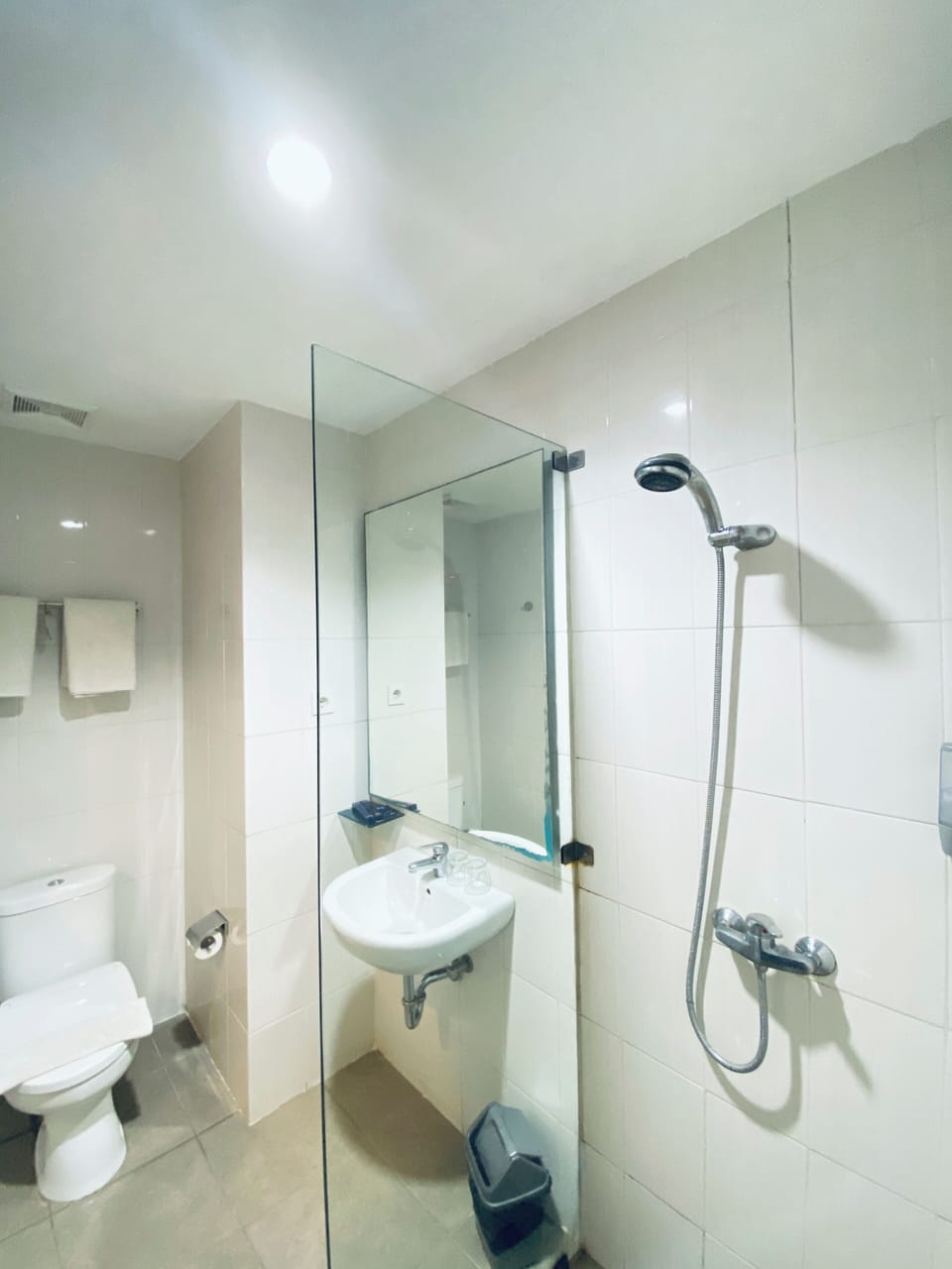 Shower, free toiletries, slippers, bidet