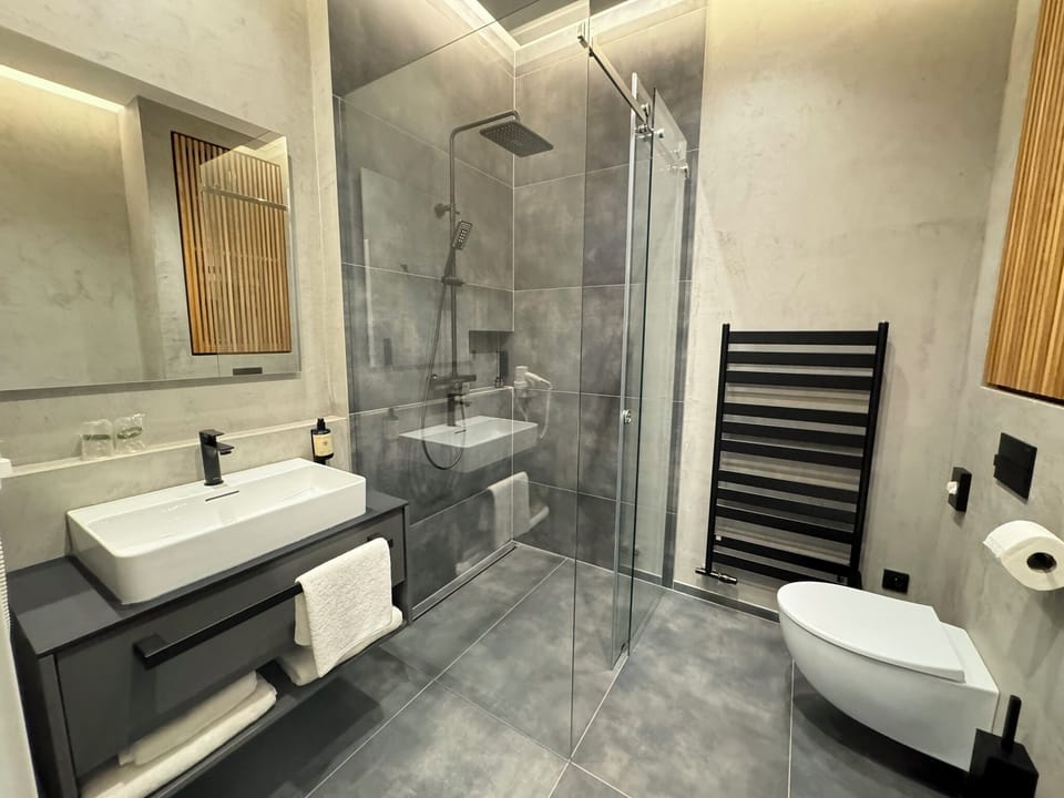 Business Double Room, 1 King Bed | Bathroom | Free toiletries, hair dryer, towels