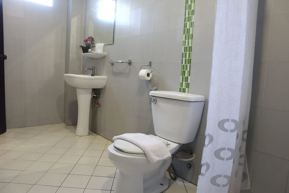Deluxe Room | Bathroom | Shower, free toiletries, towels
