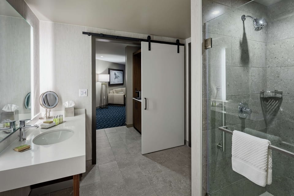 Combined shower/tub, free toiletries, hair dryer, towels