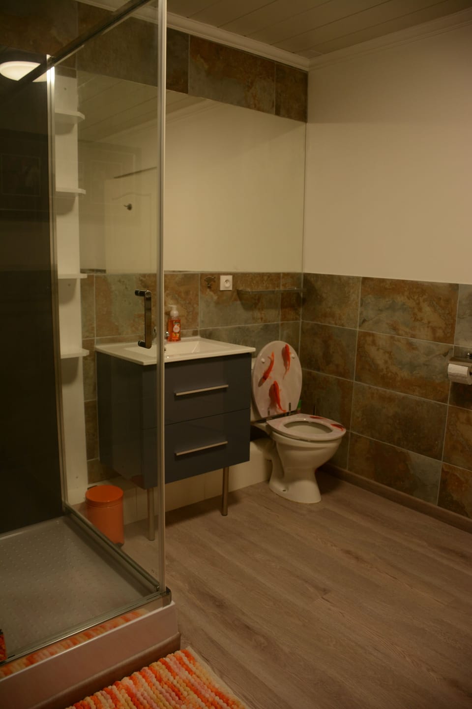 Shower, hair dryer, bathrobes, towels