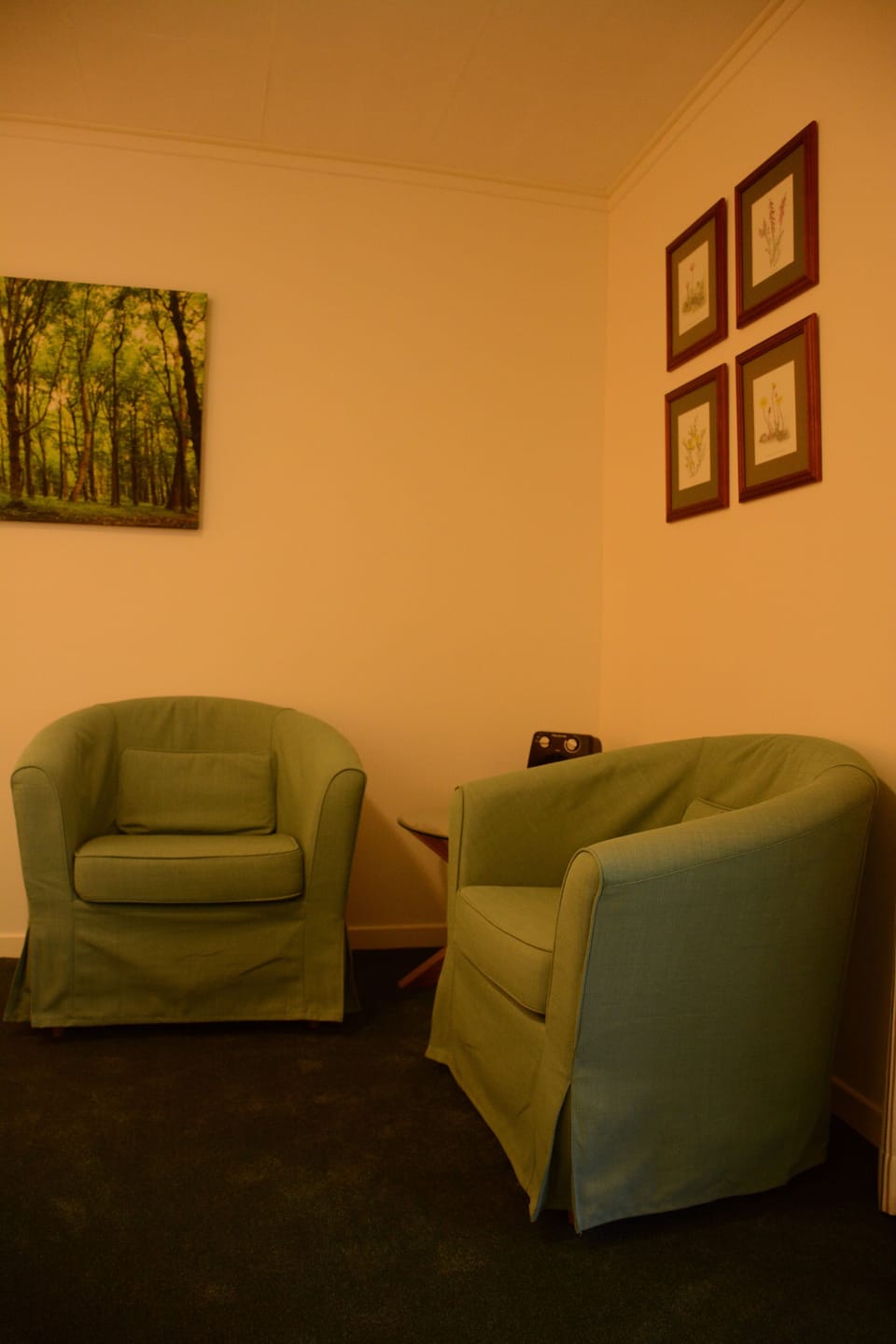 Deluxe Double Room, 1 Queen Bed, Private Bathroom, Garden View | Individually decorated, individually furnished, blackout drapes