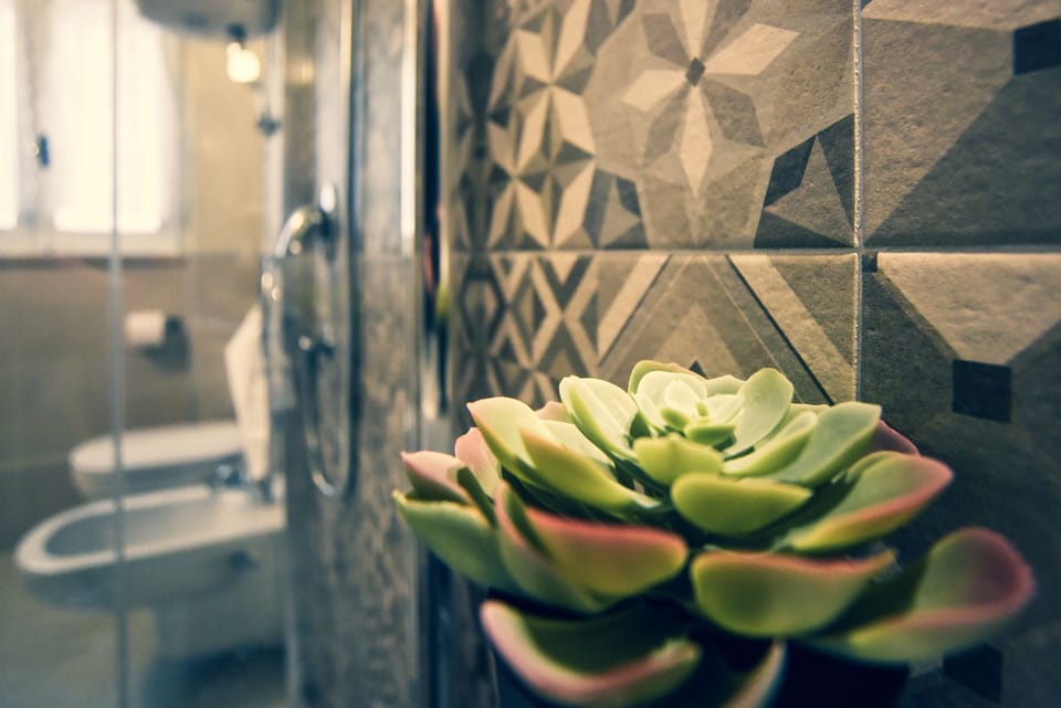 Superior Double Room | Bathroom | Shower, rainfall showerhead, free toiletries, hair dryer