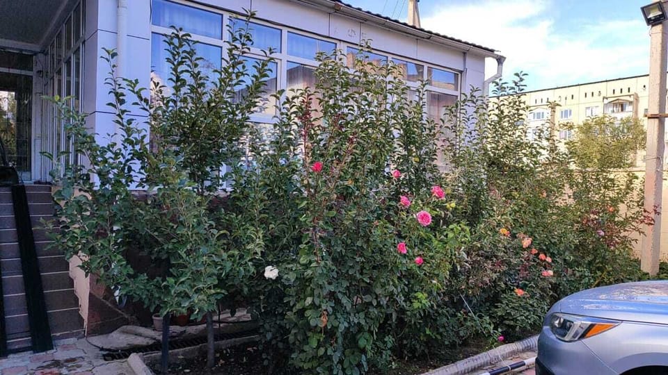 Comfort Double Room | Terrace/patio