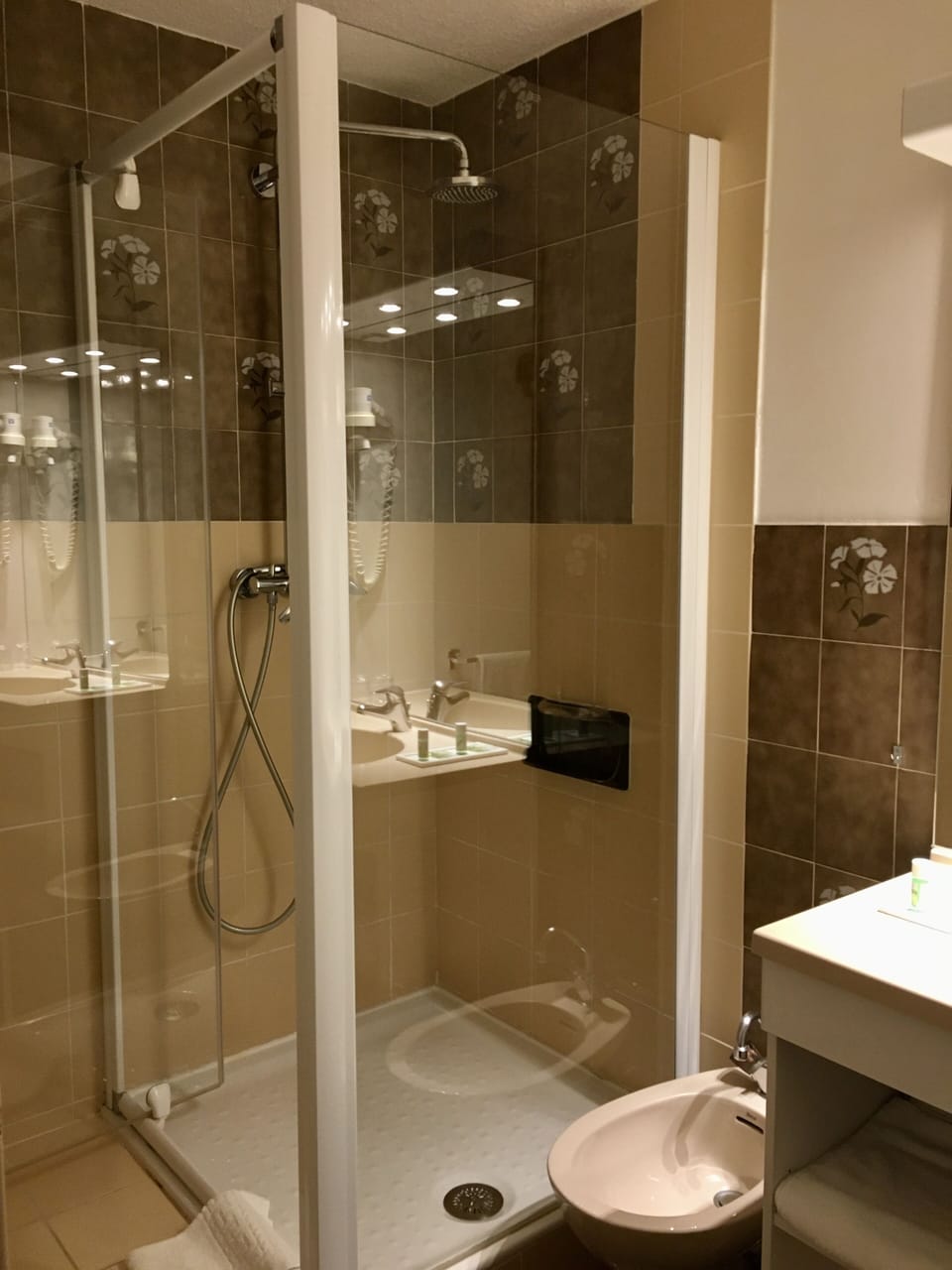 Free toiletries, hair dryer, bidet, towels