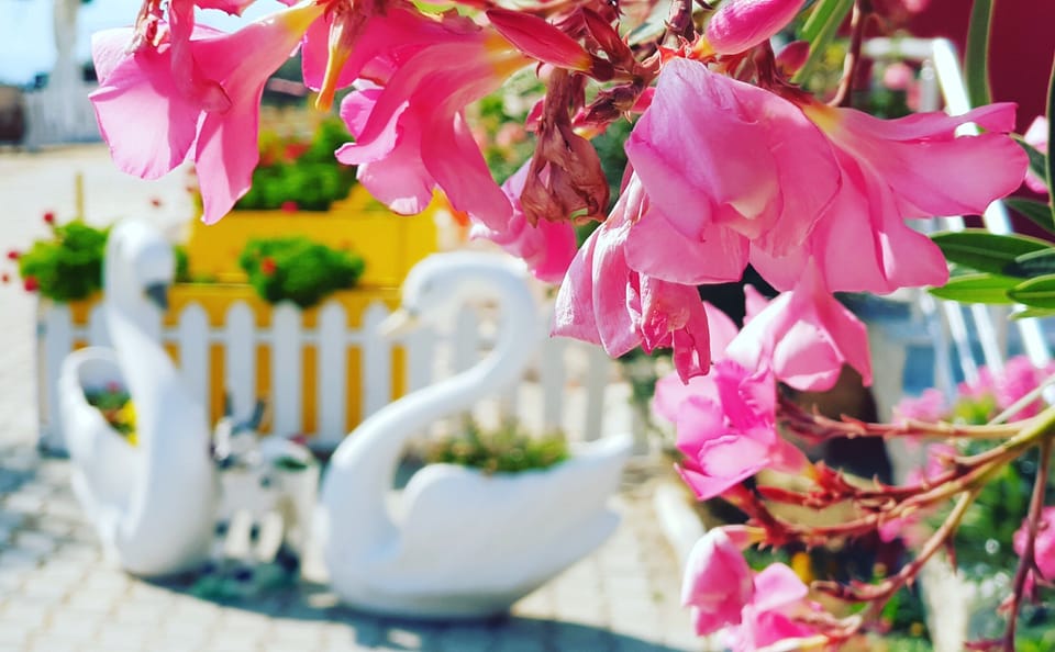 Outdoor banquet area