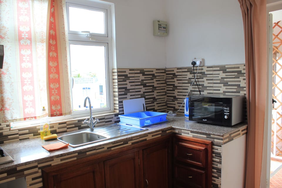 Deluxe Apartment | Private kitchenette | Electric kettle