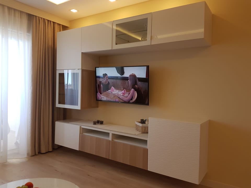 Television