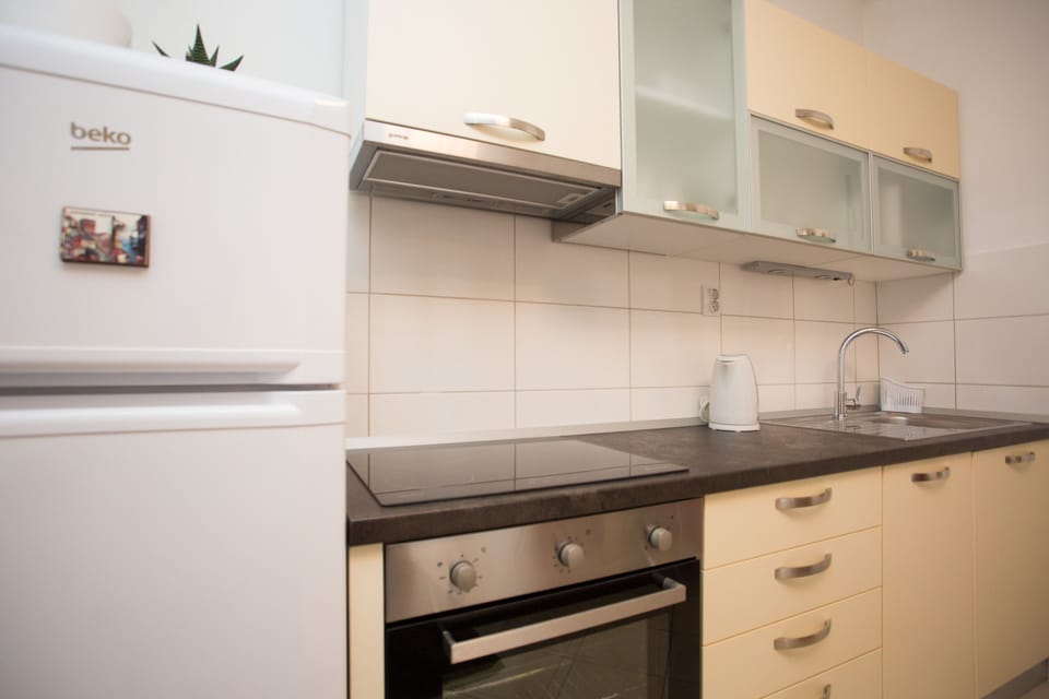Comfort Apartment, 1 Queen Bed with Sofa bed | Private kitchen | Fridge, oven, stovetop, electric kettle