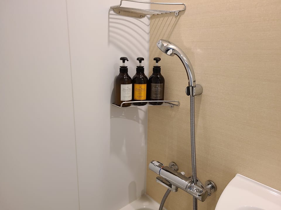 Combined shower/tub, free toiletries, hair dryer, bathrobes