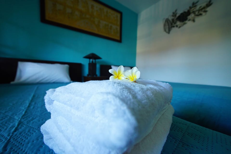 Deluxe Double Room | Free WiFi, bed sheets