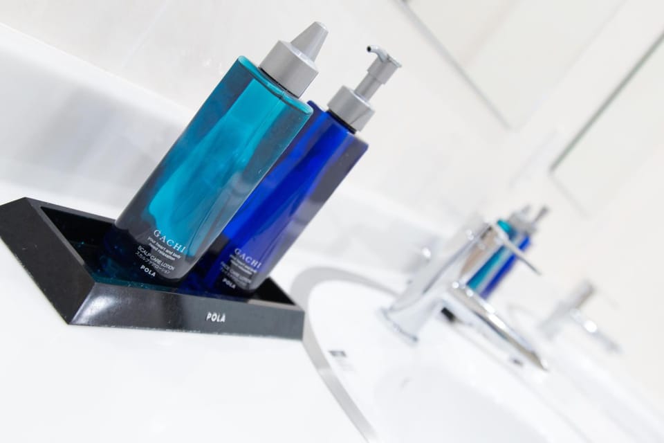 Free toiletries, slippers, electronic bidet, towels